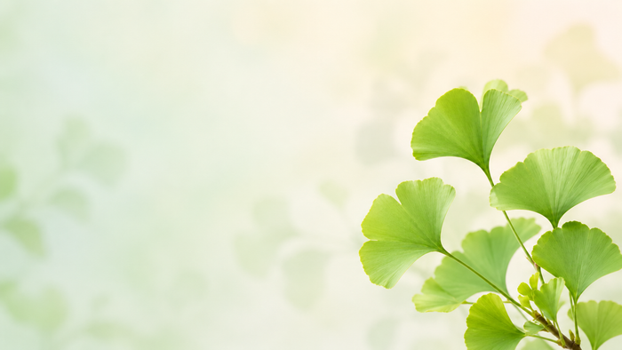 Ginkgo Biloba