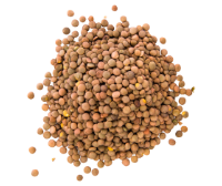 Thiamine (Vitamin B1)